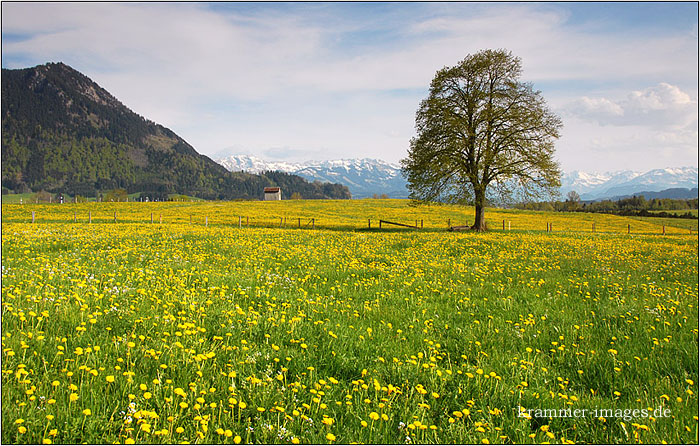 Natur23