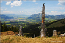 Natur21